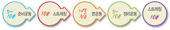 준비운동 5~10분 - 스트레칭 10분 - 본운동 개별적용 - 정리운동 5~10분 - 스트레층 10분