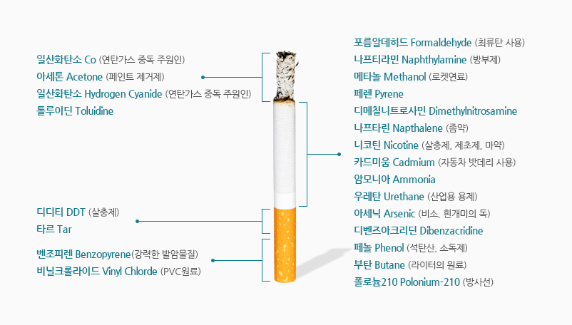담배의 유해물질 이미지