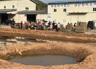 농업회사법인 검단정미소(유) 논체험 사진